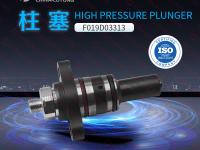 elementos de inyeccion diesel CP2-2-pump-plunger-F019D03313-buy (2) - Accesorios y piezas