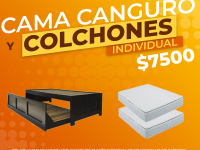 Cama canguro y colchones individuales $7500 - Muebles
