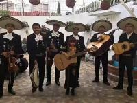 Mariachis en Ciudad de México  - Conciertos
