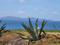 Venta de lotes con vista a las islas coronado - Terrenos y lotes