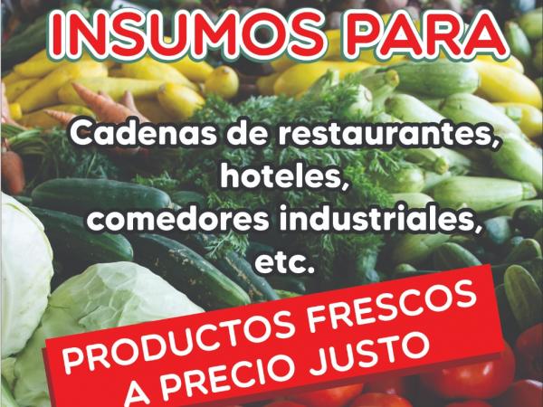 Proveedor de alimentos Albahaca al mejor precio del mercado mexicano.